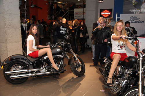 Harley-Davidson - Makinostra (13)